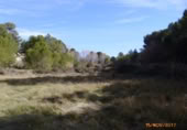 Non-developable land for sale on España, Castelló de Rugat, ref: TR128213 photo