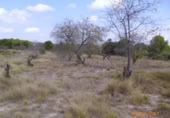 Non-developable land for sale on España, Castelló de Rugat, ref: TR128213 photo