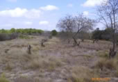 Non-developable land for sale on España, Castelló de Rugat, ref: TR128213 photo