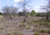 Non-developable land for sale on España, Castelló de Rugat, ref: TR128213 photo