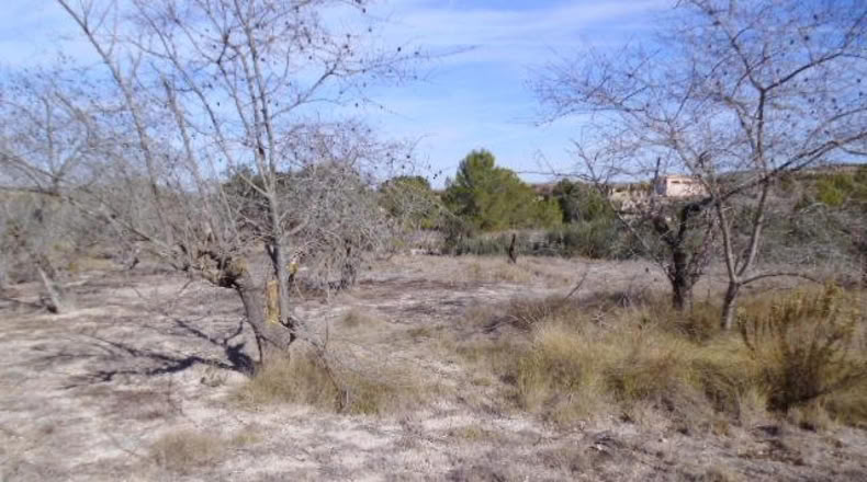 Valencia - Castellón de Rugat - 22000m2
