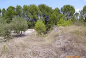 Foto 8