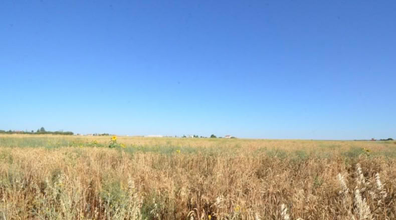 Salamanca - Castellanos de Villiquera - 3293m2