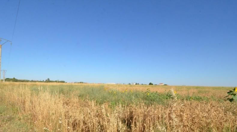 Salamanca - Castellanos de Villiquera - 3293m2