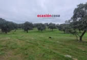 Xalet independent amb terreny en venda a la España, Pedroche, ref.: TR302586 foto