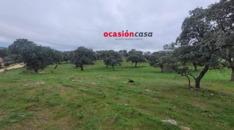 Córdoba - Pedroche - 28050m2