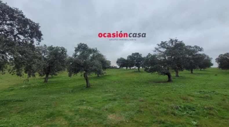 Córdoba - Pedroche - 28050m2