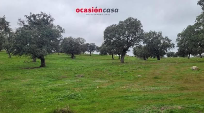 Córdoba - Pedroche - 28050m2