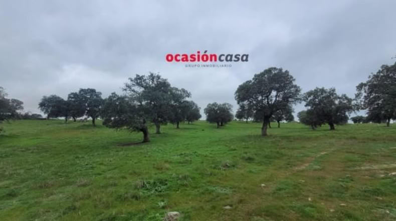 Córdoba - Pedroche - 28050m2