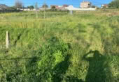 Terreno no urbanizable en venta en la España, Vigo, ref: TR130171 foto