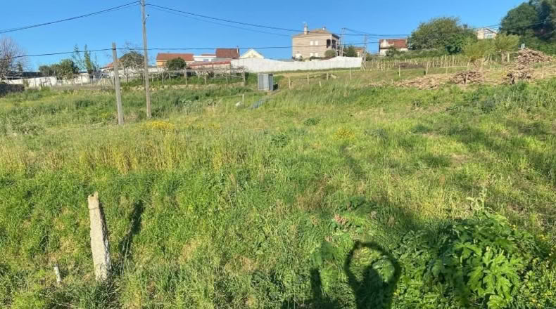 Pontevedra - Vigo - 641m2