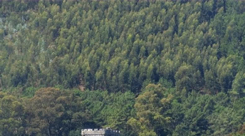 Pontevedra - Tomiño - 612m2