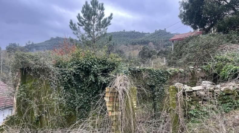 Pontevedra - Ponteareas - 710m2