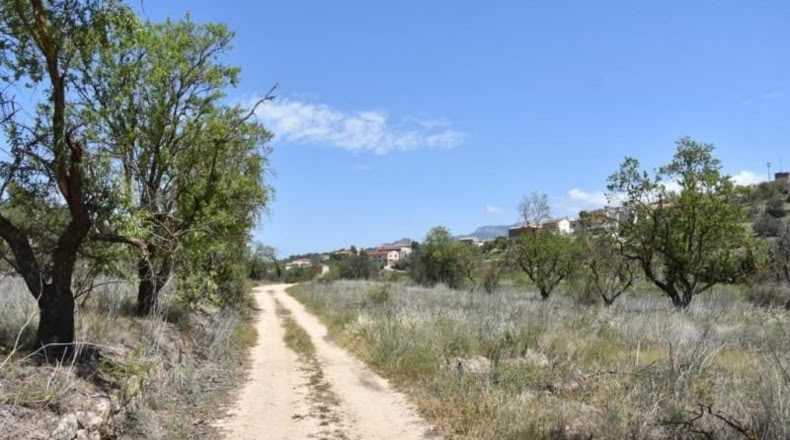 Teruel - Arens de Lledó - 11517m2
