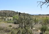 Non-developable land for sale on España, Calaceite, ref: TR167027 photo