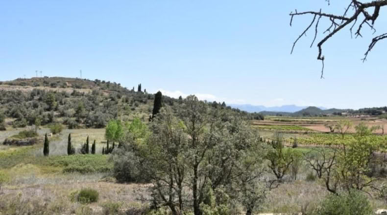 Teruel - Arens de Lledó - 11517m2