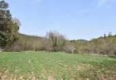 Detached villa with land for sale on España, Arens de Lledó, ref: TR319845 photo