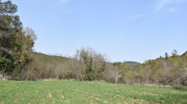 Teruel - Arens de Lledó - 16000m2