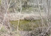 Detached villa with land for sale on España, Arens de Lledó, ref: TR319845 photo