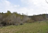 Detached villa with land for sale on España, Arens de Lledó, ref: TR319845 photo