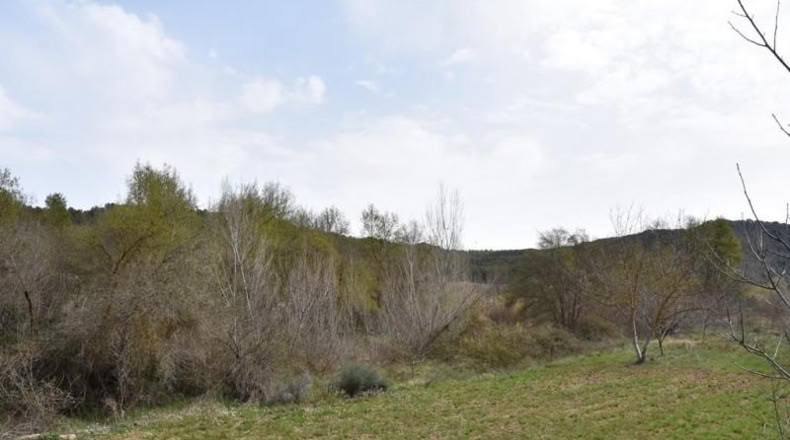 Teruel - Arens de Lledó - 16000m2