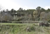 Detached villa with land for sale on España, Arens de Lledó, ref: TR319845 photo