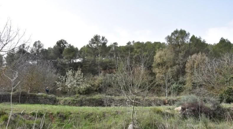 Teruel - Arens de Lledó - 16000m2