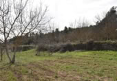 Detached villa with land for sale on España, Arens de Lledó, ref: TR319845 photo