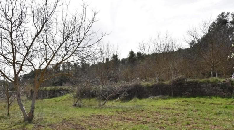 Teruel - Arens de Lledó - 16000m2
