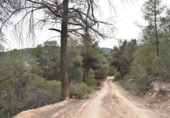 Detached villa with land for sale on España, Arens de Lledó, ref: TR319845 photo
