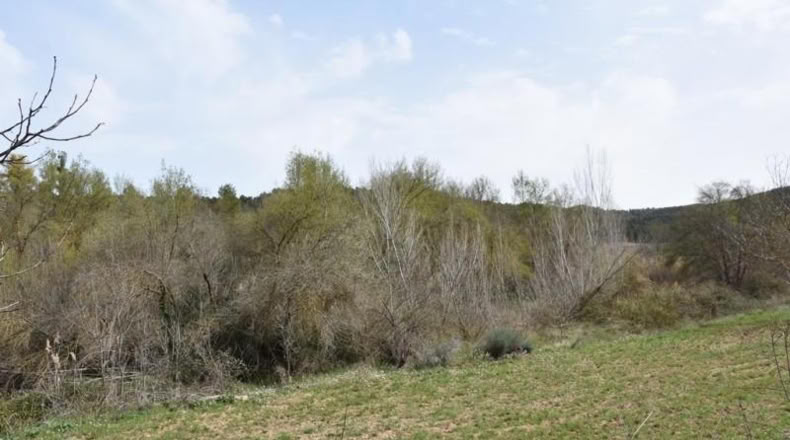 Teruel - Arens de Lledó - 16000m2