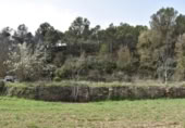 Detached villa with land for sale on España, Arens de Lledó, ref: TR319845 photo
