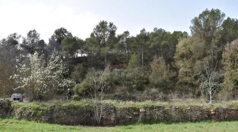 Teruel - Arens de Lledó - 16000m2