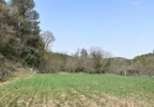 Detached villa with land for sale on España, Arens de Lledó, ref: TR319845 photo