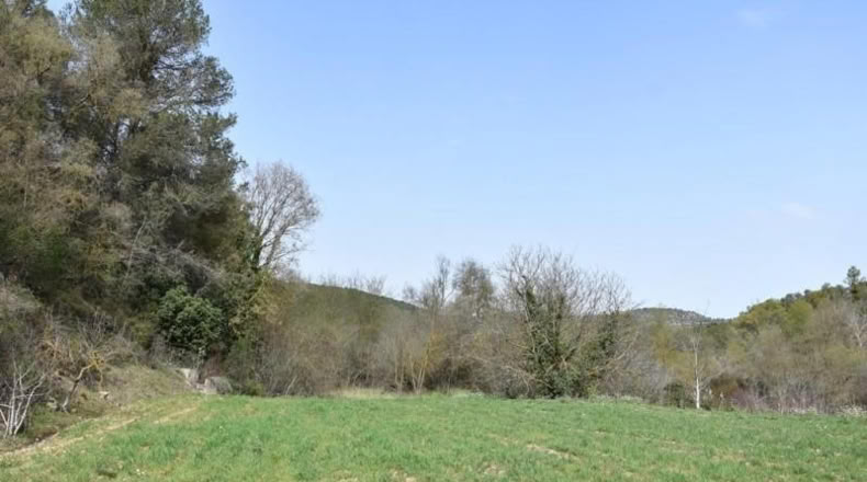 Teruel - Arens de Lledó - 16000m2