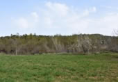 Detached villa with land for sale on España, Arens de Lledó, ref: TR319845 photo