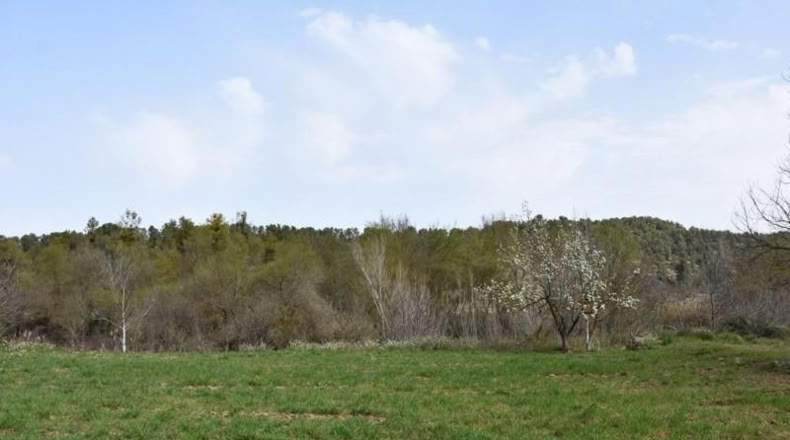 Teruel - Arens de Lledó - 16000m2