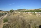 Parcel·la urbanitzable en venda a la España, la Romana, ref.: TR191752 foto