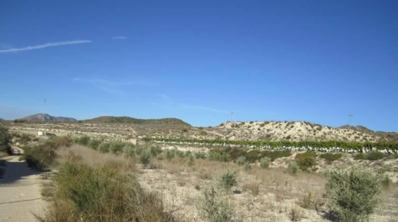 Alicante - la Romana - 9680m2