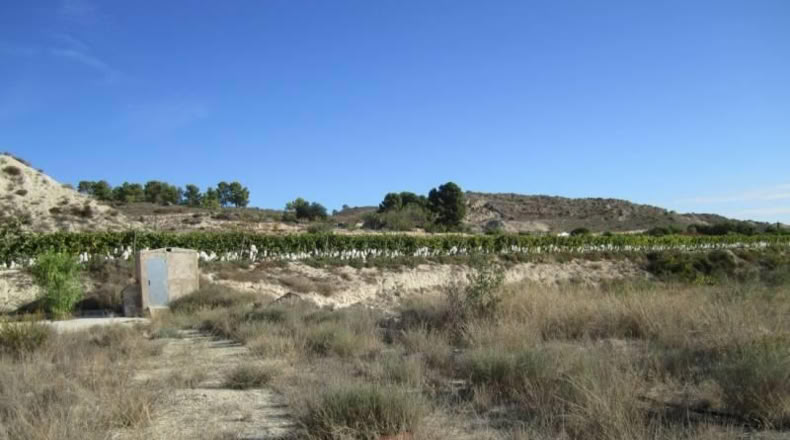 Alicante - la Romana - 9680m2