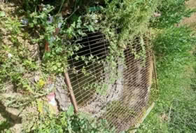 Foto 6