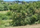 Terreny no urbanitzable en venda a la España, Cabañas Raras, ref.: TR130568 foto