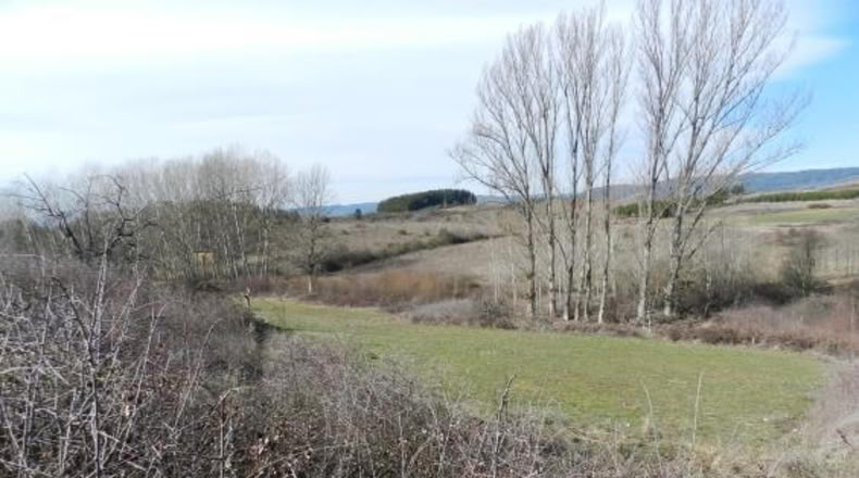 León - Cabañas Raras - 4000m2