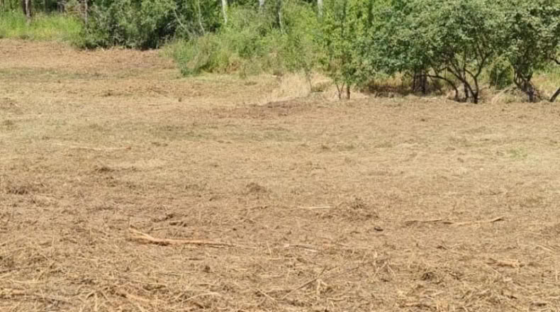 León - Cabañas Raras - 4000m2