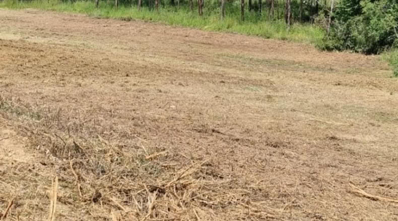 León - Cabañas Raras - 4000m2
