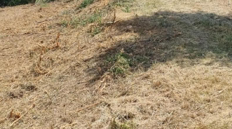 León - Cabañas Raras - 4000m2