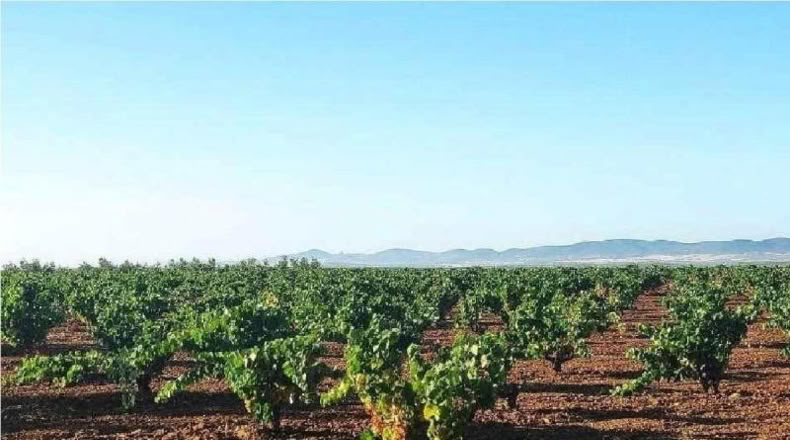 Badajoz - Santa Marta de los Barros - 57960m2