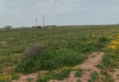 House with land for sale on España, Alcázar de San Juan, ref: TR297127 photo