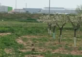 House with land for sale on España, Alcázar de San Juan, ref: TR297127 photo