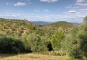 Terreny no urbanitzable en venda a la España, Còrdova, ref.: TR292397 foto